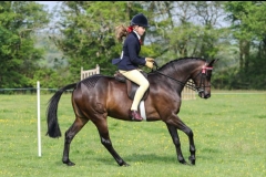 Newoak Flower Girl and Emma James