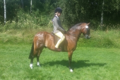 Bonnie Follows and Superted  II