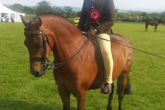 Bradley Dogan and Haighend Henessy