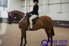 Eva morgan and Romanno hot stop_