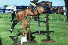 Jo Ainsworth and Calypso nitro million