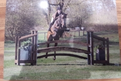 amy basnett and hsb dark viper