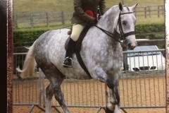 Kathryn Riddle and Corrabaun Kingdom