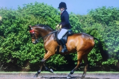 Drakemyre Debonair and Lindsey Hewitt