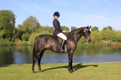 Styalways Dark Orchid and Josie Toogood