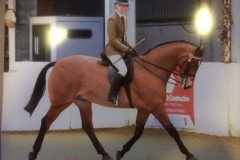 Glen Allen and Helsington Tailor made