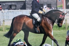 Lindsey Hewitt and Drakemyre Debonair