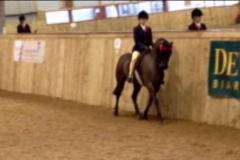 Madison Louise Dalley and Archwood Romeo Gigle