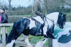 Lady v1 and Karl Schuller