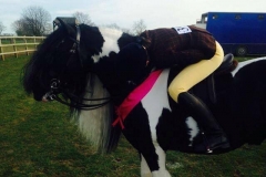 Shannon McCaffrey and Vice Versa