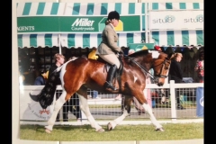 The Time Bandit  Rider Becky Williams
