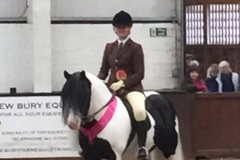 Kimico Kenny Rogers rider Aimee Devane