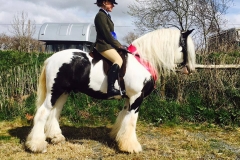 Newoak Razamataz Rider Abbi Holmes