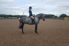 Holly creek sir benson owned and bronte ritchie