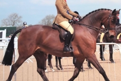 Cuinnegan Steady Eddie and charlotte Elliott