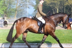 Glen Allen and Step lightly