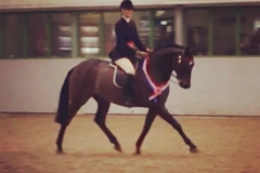 Parkgate Royal Visit William and Emma Dewhurst