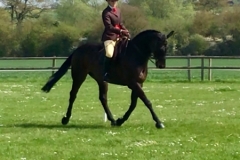 Alice Mccracken and Just A Breeze