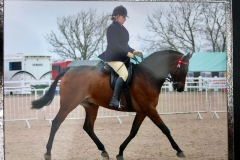 Sophie Clohessy and Drakemyre Debonair