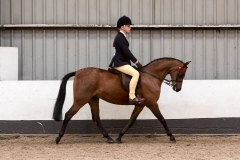 Bonnie follows and Chasecroft Gazelle