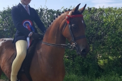 Bonnie follows and Chasecroft gazelle