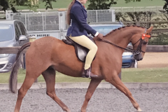 Liberty Taylor-Hopkins Whiteboro Telltale