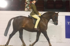 Lola Bass and Annandale Minstrel