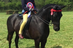 Scarlett Trott and Mansionhill Bertie Bassett