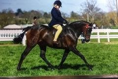 Stanley grange sea shells and Hollie crowe