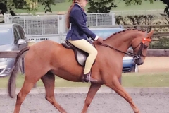 Whiteboro Telltale and Liberty Taylor-Hopkins