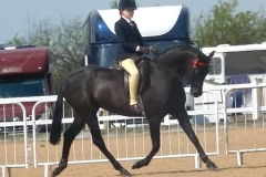 Gracie Arey Hand Grace Darling