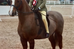 Kate Hewson and Gwithian Master Harry