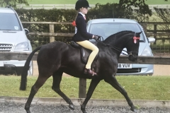 Scarlett Trott and Mansionhill Bertie Bassett