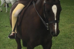 Ella Willshaw and Doulton Serenity