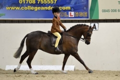 Eugenie Godfrey-Faussett and Gryngallt Picture Frame