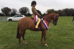 Hightopps Allegro and Charlotte Tuck