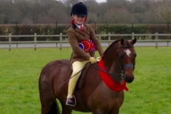 Newoak Dreamaker rider Tori Dymond