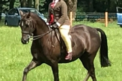 Cookshill voyage of dreams and poppy brown