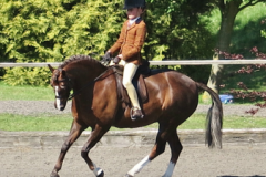 Eugenie Godfrey-Faussett and Gryngallt Picture Frame