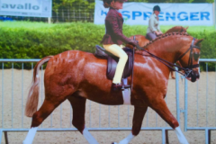 Lilli Aungier and Uphill Toy Soldier