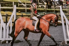 Ashlands High Flyer and Taylor Adams