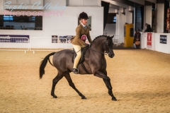 Crystal Body and Annandale Cufflink