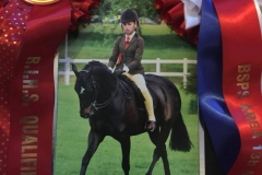 Wytchwood Fun Boy and Taylor Adams