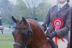 Leah anderton littlebyrom limited edition