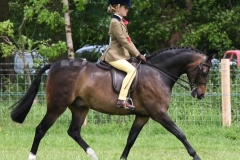 Sienna McLeay and Lemington Starlight