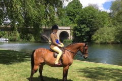 Tori Thomas riding David Thomas's Yealand Breez