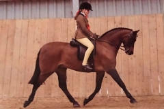 Ella Georgakis and Pony Fayre Daffyd