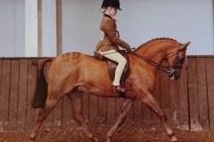 Freya Herring and Hightopps Samba