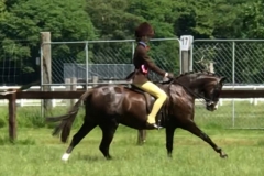 Lucy body and Annandale royal jubilation