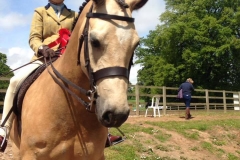 Georgia Doodle Lea and Egan's best buddy